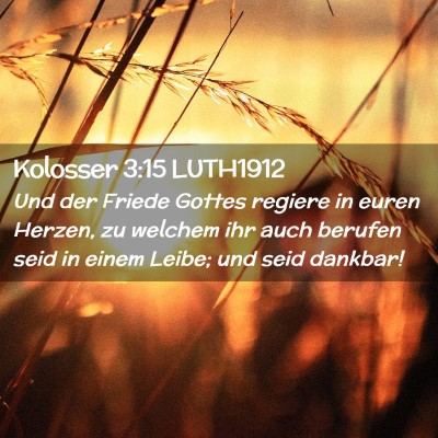 Picture 02 - Kolosser 3:15 LUTH1912 - Und der Friede Gottes regiere in euren Herzen, zu - Bible Verse Picture