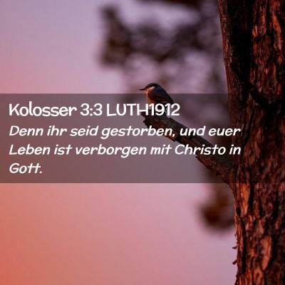 Picture 02 - Kolosser 3:3 LUTH1912 - Denn ihr seid gestorben, und euer Leben ist - Bible Verse Picture