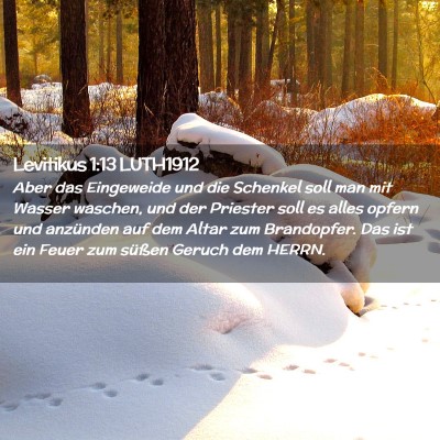 Picture 02 - Levitikus 1:13 LUTH1912 - Aber das Eingeweide und die Schenkel soll man mit - Bible Verse Picture