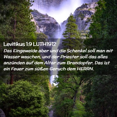 Picture 02 - Levitikus 1:9 LUTH1912 - Das Eingeweide aber und die Schenkel soll man mit - Bible Verse Picture