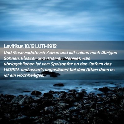 Picture 02 - Levitikus 10:12 LUTH1912 - Und Mose redete mit Aaron und mit seinen noch - Bible Verse Picture