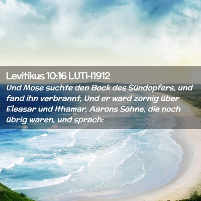 Picture 02 - Levitikus 10:16 LUTH1912 - Und Mose suchte den Bock des Sündopfers, und - Bible Verse Picture