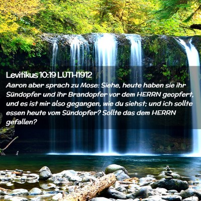 Picture 02 - Levitikus 10:19 LUTH1912 - Aaron aber sprach zu Mose: Siehe, heute haben sie - Bible Verse Picture
