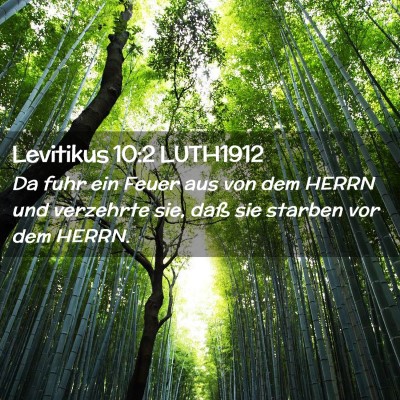 Picture 02 - Levitikus 10:2 LUTH1912 - Da fuhr ein Feuer aus von dem HERRN und verzehrte - Bible Verse Picture