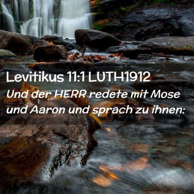 Picture 02 - Levitikus 11:1 LUTH1912 - Und der HERR redete mit Mose und Aaron und sprach - Bible Verse Picture