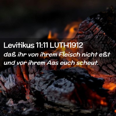 Picture 02 - Levitikus 11:11 LUTH1912 - daß ihr von ihrem Fleisch nicht eßt und vor - Bible Verse Picture