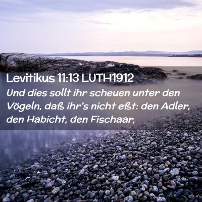 Picture 02 - Levitikus 11:13 LUTH1912 - Und dies sollt ihr scheuen unter den Vögeln, - Bible Verse Picture