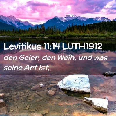 Picture 02 - Levitikus 11:14 LUTH1912 - den Geier, den Weih, und was seine Art - Bible Verse Picture