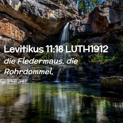Picture 02 - Levitikus 11:18 LUTH1912 - die Fledermaus, die - Bible Verse Picture