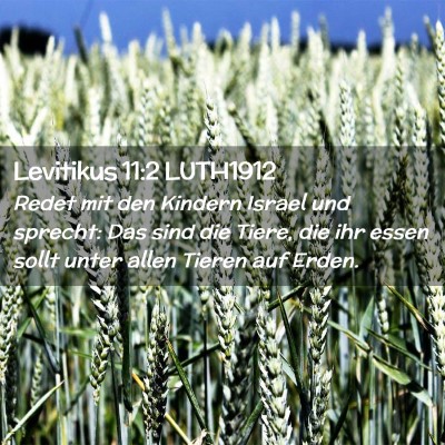 Picture 02 - Levitikus 11:2 LUTH1912 - Redet mit den Kindern Israel und sprecht: Das - Bible Verse Picture