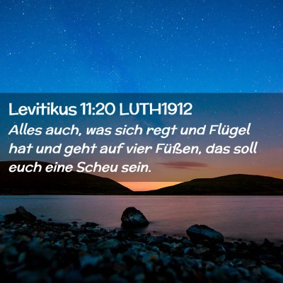 Picture 02 - Levitikus 11:20 LUTH1912 - Alles auch, was sich regt und Flügel hat und - Bible Verse Picture