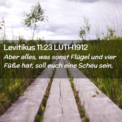 Picture 02 - Levitikus 11:23 LUTH1912 - Aber alles, was sonst Flügel und vier Füße - Bible Verse Picture