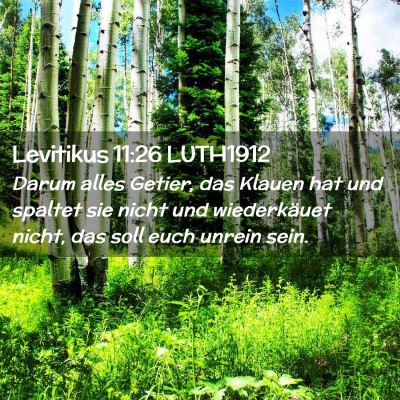 Picture 02 - Levitikus 11:26 LUTH1912 - Darum alles Getier, das Klauen hat und spaltet - Bible Verse Picture