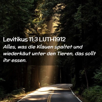 Picture 02 - Levitikus 11:3 LUTH1912 - Alles, was die Klauen spaltet und wiederkäut - Bible Verse Picture