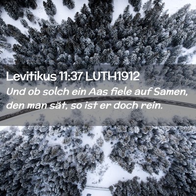 Picture 02 - Levitikus 11:37 LUTH1912 - Und ob solch ein Aas fiele auf Samen, den man - Bible Verse Picture
