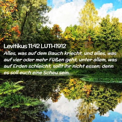 Picture 02 - Levitikus 11:42 LUTH1912 - Alles, was auf dem Bauch kriecht, und alles, was - Bible Verse Picture