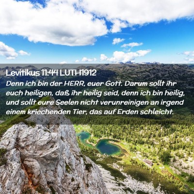 Picture 02 - Levitikus 11:44 LUTH1912 - Denn ich bin der HERR, euer Gott. Darum sollt ihr - Bible Verse Picture