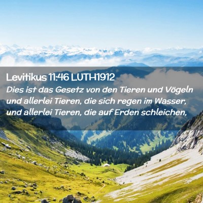 Picture 02 - Levitikus 11:46 LUTH1912 - Dies ist das Gesetz von den Tieren und Vögeln - Bible Verse Picture