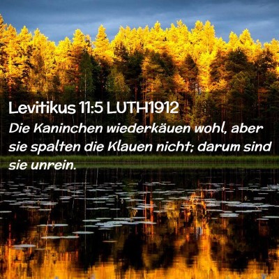 Picture 02 - Levitikus 11:5 LUTH1912 - Die Kaninchen wiederkäuen wohl, aber sie spalten - Bible Verse Picture