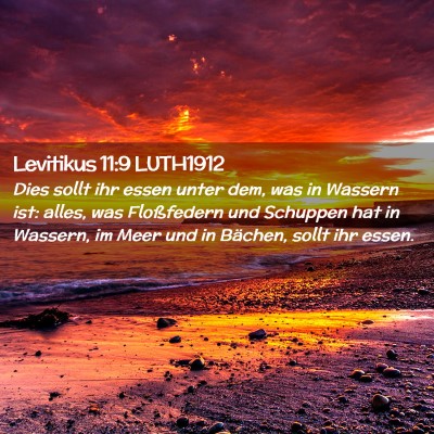 Picture 02 - Levitikus 11:9 LUTH1912 - Dies sollt ihr essen unter dem, was in Wassern - Bible Verse Picture