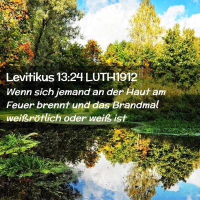 Picture 02 - Levitikus 13:24 LUTH1912 - Wenn sich jemand an der Haut am Feuer brennt und - Bible Verse Picture