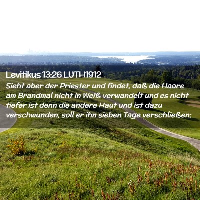 Picture 02 - Levitikus 13:26 LUTH1912 - Sieht aber der Priester und findet, daß die - Bible Verse Picture