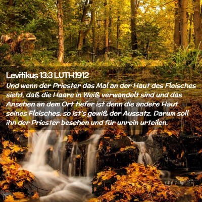 Picture 02 - Levitikus 13:3 LUTH1912 - Und wenn der Priester das Mal an der Haut des - Bible Verse Picture