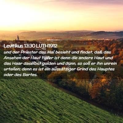 Picture 02 - Levitikus 13:30 LUTH1912 - und der Priester das Mal besieht und findet, daß - Bible Verse Picture