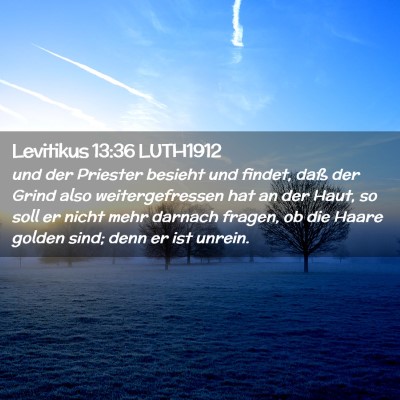 Picture 02 - Levitikus 13:36 LUTH1912 - und der Priester besieht und findet, daß der - Bible Verse Picture