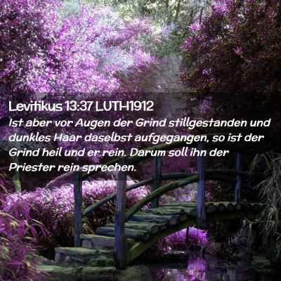 Picture 02 - Levitikus 13:37 LUTH1912 - Ist aber vor Augen der Grind stillgestanden und - Bible Verse Picture