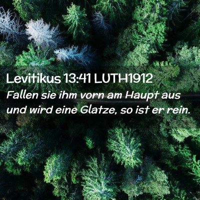 Picture 02 - Levitikus 13:41 LUTH1912 - Fallen sie ihm vorn am Haupt aus und wird eine - Bible Verse Picture