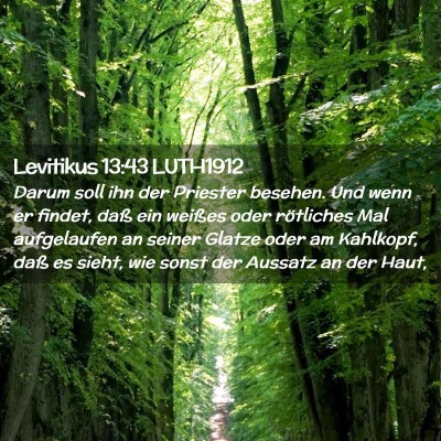 Picture 02 - Levitikus 13:43 LUTH1912 - Darum soll ihn der Priester besehen. Und wenn er - Bible Verse Picture