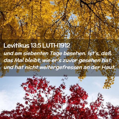 Picture 02 - Levitikus 13:5 LUTH1912 - und am siebenten Tage besehen. Ist's, daß das - Bible Verse Picture