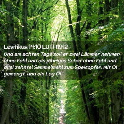 Picture 02 - Levitikus 14:10 LUTH1912 - Und am achten Tage soll er zwei Lämmer nehmen - Bible Verse Picture