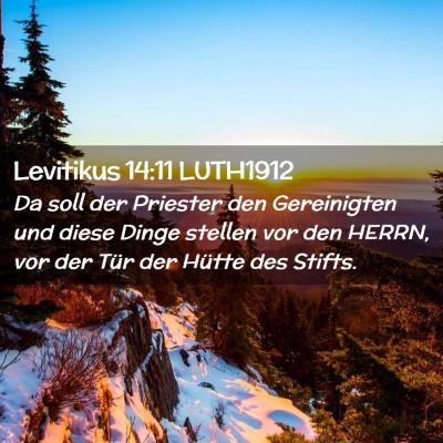Picture 02 - Levitikus 14:11 LUTH1912 - Da soll der Priester den Gereinigten und diese - Bible Verse Picture