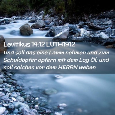 Picture 02 - Levitikus 14:12 LUTH1912 - Und soll das eine Lamm nehmen und zum Schuldopfer - Bible Verse Picture