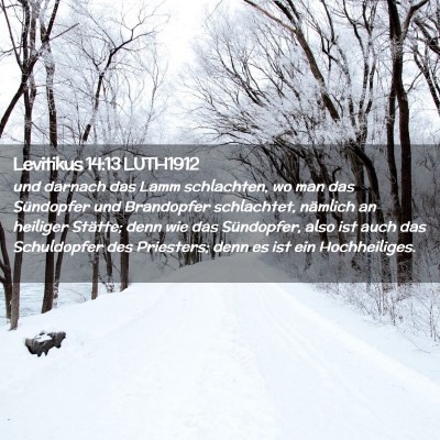 Picture 02 - Levitikus 14:13 LUTH1912 - und darnach das Lamm schlachten, wo man das - Bible Verse Picture