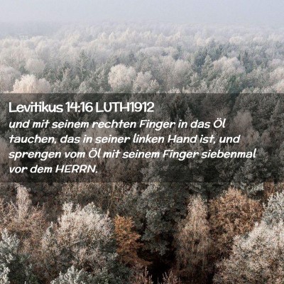 Picture 02 - Levitikus 14:16 LUTH1912 - und mit seinem rechten Finger in das Öl tauchen, - Bible Verse Picture