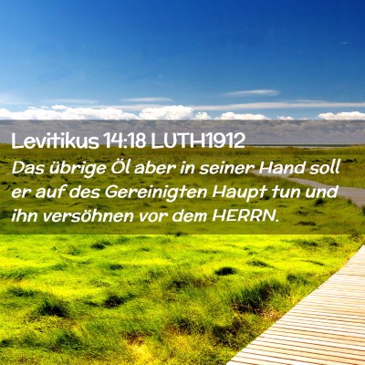 Picture 02 - Levitikus 14:18 LUTH1912 - Das übrige Öl aber in seiner Hand soll er auf - Bible Verse Picture