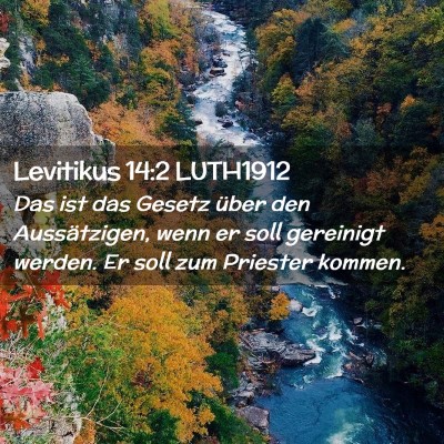 Picture 02 - Levitikus 14:2 LUTH1912 - Das ist das Gesetz über den Aussätzigen, wenn - Bible Verse Picture