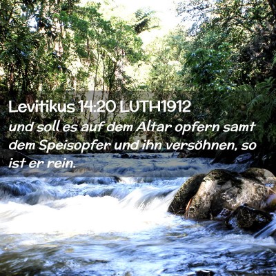Picture 02 - Levitikus 14:20 LUTH1912 - und soll es auf dem Altar opfern samt dem - Bible Verse Picture
