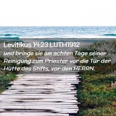 Picture 02 - Levitikus 14:23 LUTH1912 - und bringe sie am achten Tage seiner Reinigung - Bible Verse Picture