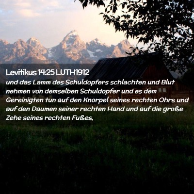 Picture 02 - Levitikus 14:25 LUTH1912 - und das Lamm des Schuldopfers schlachten und Blut - Bible Verse Picture