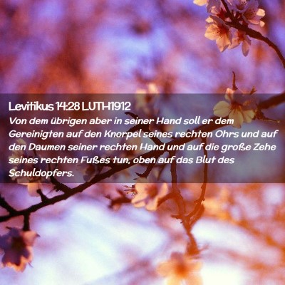 Picture 02 - Levitikus 14:28 LUTH1912 - Von dem übrigen aber in seiner Hand soll er dem - Bible Verse Picture