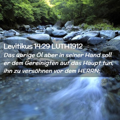 Picture 02 - Levitikus 14:29 LUTH1912 - Das übrige Öl aber in seiner Hand soll er dem - Bible Verse Picture
