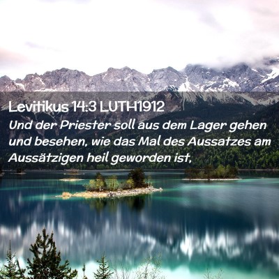 Picture 02 - Levitikus 14:3 LUTH1912 - Und der Priester soll aus dem Lager gehen und - Bible Verse Picture