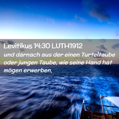Picture 02 - Levitikus 14:30 LUTH1912 - und darnach aus der einen Turteltaube oder jungen - Bible Verse Picture