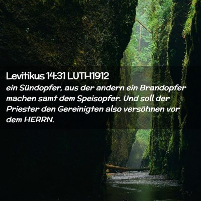 Picture 02 - Levitikus 14:31 LUTH1912 - ein Sündopfer, aus der andern ein Brandopfer - Bible Verse Picture