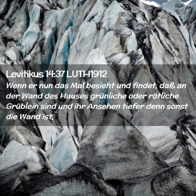 Picture 02 - Levitikus 14:37 LUTH1912 - Wenn er nun das Mal besieht und findet, daß an - Bible Verse Picture