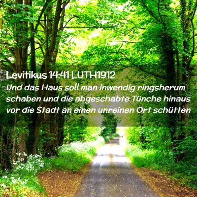 Picture 02 - Levitikus 14:41 LUTH1912 - Und das Haus soll man inwendig ringsherum schaben - Bible Verse Picture